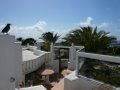 Villas